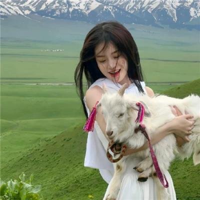 天才猫奴画家